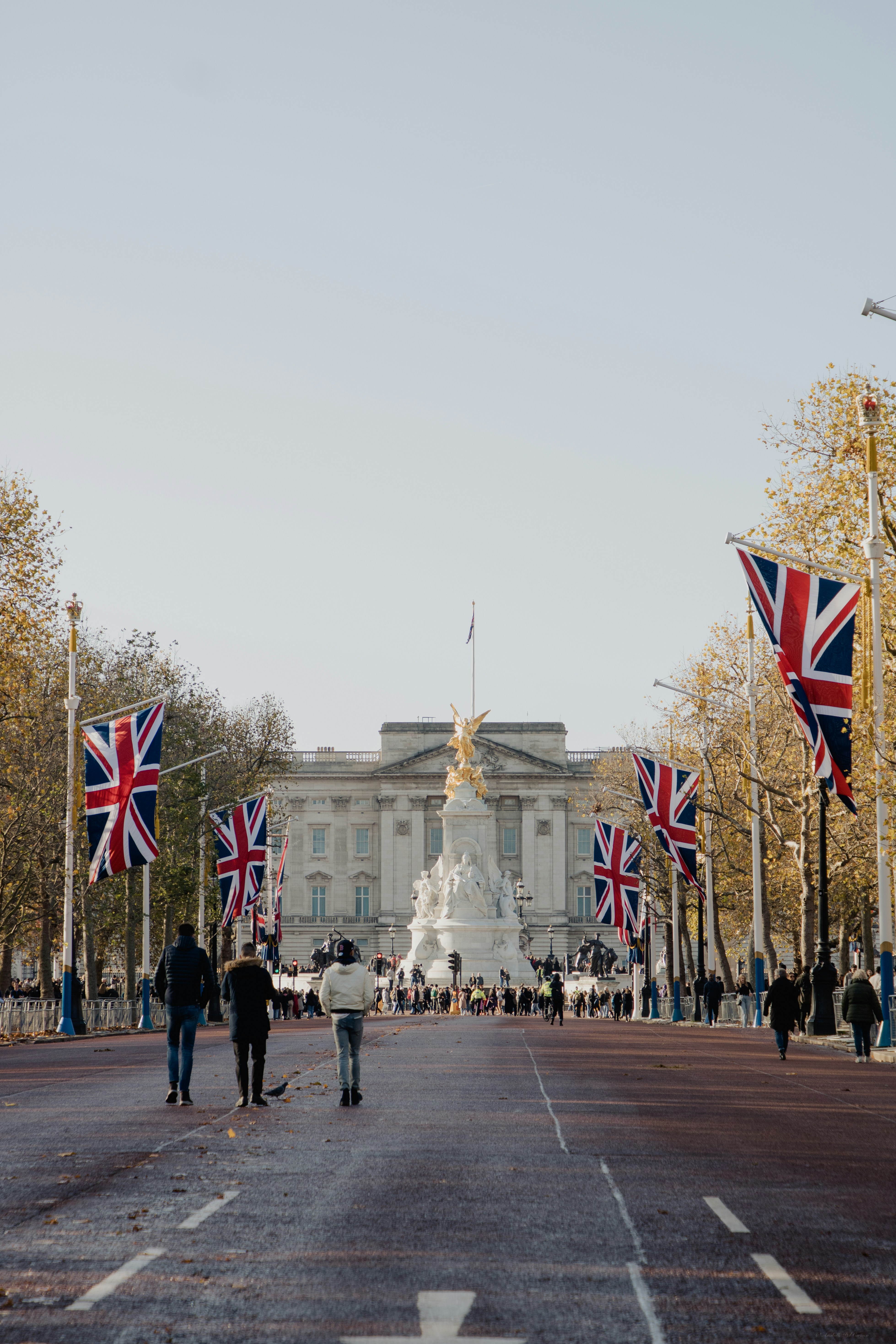 The Mall and Buckingham Palace in London
